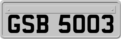 GSB5003