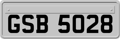 GSB5028
