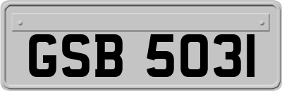 GSB5031