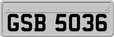 GSB5036