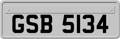 GSB5134