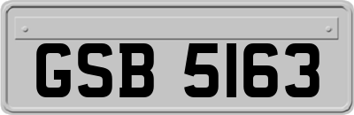 GSB5163
