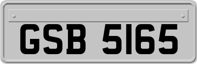 GSB5165