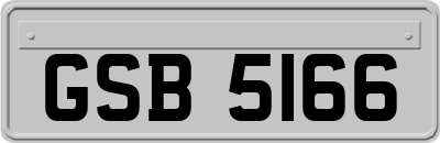 GSB5166