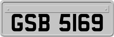 GSB5169