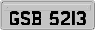 GSB5213