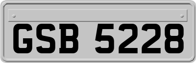 GSB5228