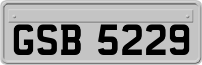 GSB5229