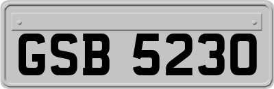 GSB5230