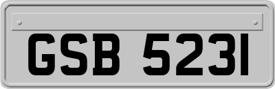 GSB5231