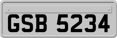 GSB5234