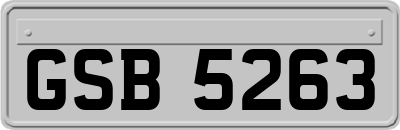 GSB5263