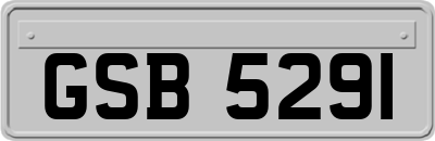 GSB5291