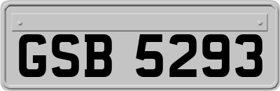 GSB5293