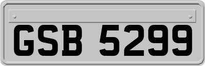 GSB5299