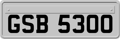 GSB5300
