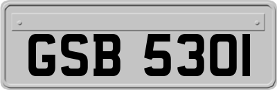 GSB5301