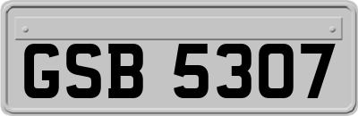 GSB5307