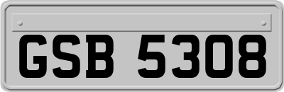 GSB5308