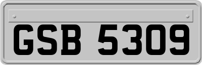 GSB5309