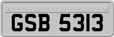 GSB5313