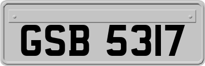 GSB5317
