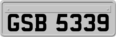 GSB5339