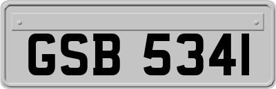 GSB5341
