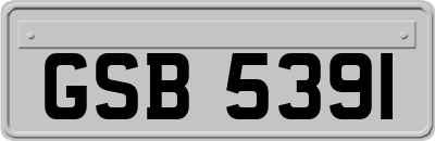 GSB5391