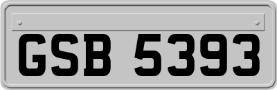 GSB5393