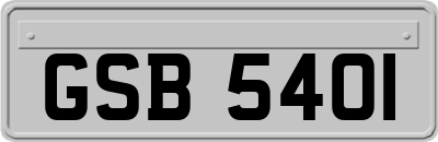 GSB5401