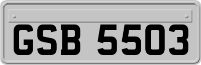 GSB5503