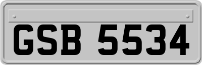 GSB5534