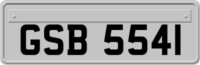 GSB5541