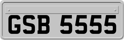 GSB5555