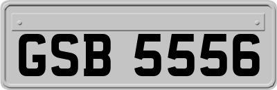 GSB5556