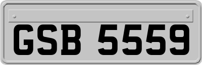 GSB5559