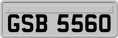 GSB5560