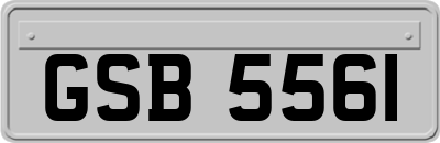 GSB5561