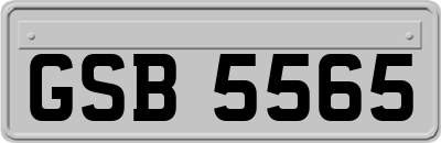 GSB5565
