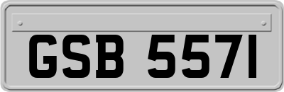 GSB5571