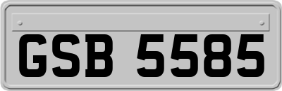 GSB5585