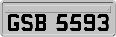 GSB5593