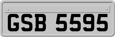 GSB5595