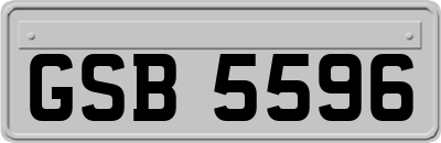 GSB5596