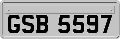 GSB5597