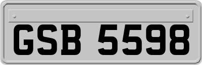 GSB5598