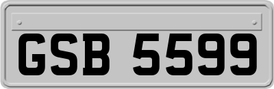 GSB5599