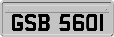 GSB5601
