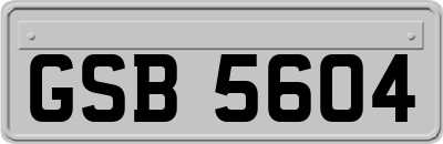GSB5604